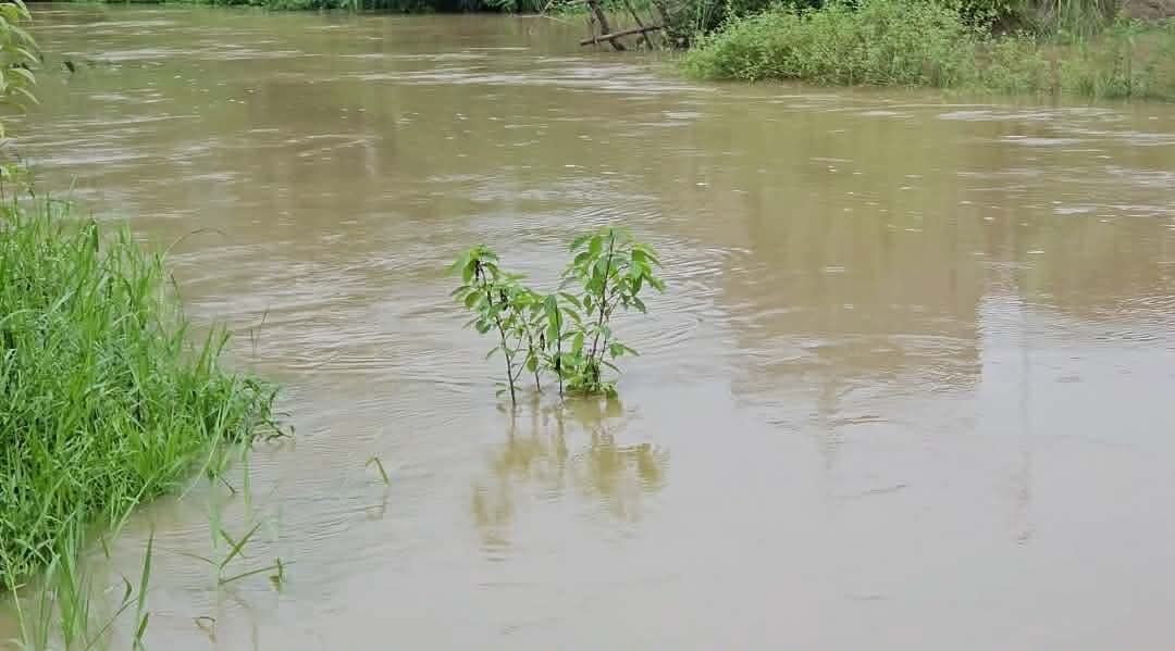 ফেনীতে ২৪ ঘণ্টায় ৯১ মিমি বৃষ্টি, বাড়ছে মুহুরীসহ তিন নদীর পানি 