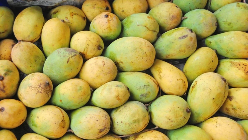 রাসায়নিক দিয়ে পাকানো আম চিনবেন যেভাবে
